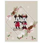 Aymax - Plaid Couverture Polaire en Flanelle - Disney Mickey et Minnie
