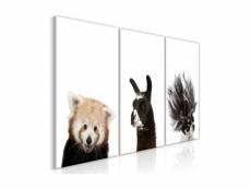 Tableau - friendly animals (collection)-60x30 A1-N8260