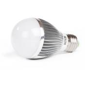 Ampoule LED 5W (equivalent 30W) spherique 60x108mm E27 blanc froid 5200K 410lm 230V 180° LED GLA19-5W-CW
