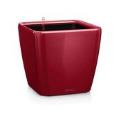 Lechuza - Pot Quadro ls 43 Kit Premium Complet - 43 x 43 cm - Différents coloris Rouge écarlate