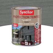 Protection teintée bois Syntilor Gris naturel 1L - 8 ans