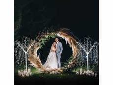 Arche circulaire 200cm doré à décorer & 2 saules pleureur led blanc chaud 180 cm mariage bohême baptême anniversaire décoration de fête ballon diy 292