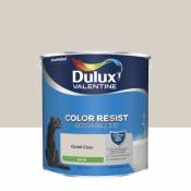Peinture murs et boiseries Color Resist salle de bains Dulux Valentine satin galet clair 2 5L