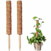 Petites Ecrevisses - 2 Pièces Tuteur Plante Grimpante Extendable Bâton en Coco 40cm pour Maison Jardin Support de Plante