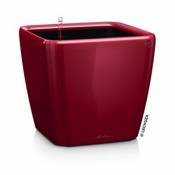 Pot carré Lechuza Premium LS rouge scarlet brillant