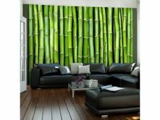 Papier peint intissé orient mur vert bambou taille