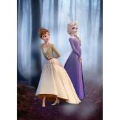 Poster Disney La Reine des Neiges 2 - Anna et Elsa