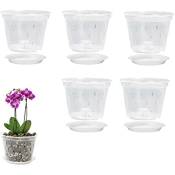 Pots à orchidées transparents de 5 pouces, avec trous