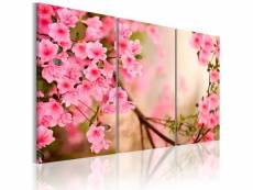 Tableau fleurs fleur de cerisier taille 120 x 80 cm