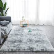 Tapis de sol antidérapant 80x160CM tapis de chambre à coucher pour salon gris clair