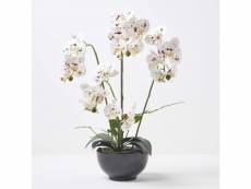 Homescapes orchidée artificielle blanche en pot en céramique noir 62 cm AP1571
