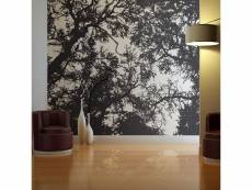 Papier peint intissé paysages bleak forest taille 200 x 154 cm PD14483-200-154