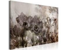 Tableau - anemones in sepia (1 part) wide [60x40]
