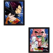 Dragon Ball Z Cadre 3d Lenticulaire Protectors And