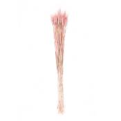 Gerbes de blés séchés rose 70cm
