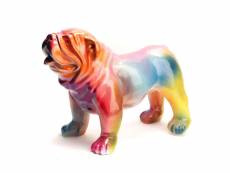 Bulldog usa rainbow s - amadeus