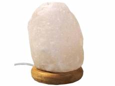 Mini lampe de sel de l’himalaya avec lampe led