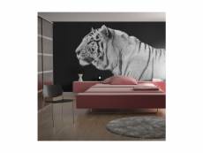 Papier peint tigre blanc l 350 x h 270 cm A1-FTNT0398