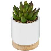 Succulente artificielle - pot en céramique - H12 cm
