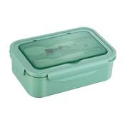 Children's Lunch Box With Compartments Bento Box Adult