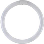 Dura Lamp - Fluo triphosphores circulaires W32 circolina raccord G10 tube diame'tre 29 mm 6500 k diame'tre 300 mm 1900 Lumen