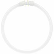 Le Sanitaire - Osram Tube fluorescent T5 22 w circulaire blanc froid