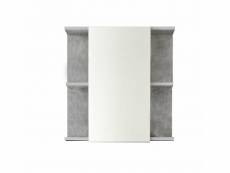 Meuble de salle de bain - armoire de toilette avec miroir et led en mélaminé blanc-gris. L-h-p:60-62-20cm