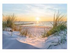 Papier peint intissé panoramique plage mer dunes 312x219 cm chambre salon photo non tissé muraux trompe l'oei
