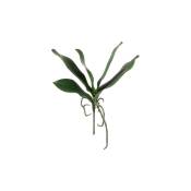 Piquet de feuilles d'orchidée artificielles vertes