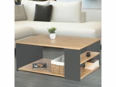 Table basse rangements bois et gris lya contemporaine