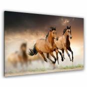 Tableau photo chevaux en plein galop - 80x50 cm