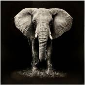 Toile imprimée éléphant 100x100cm - Atmosphera créateur d'intérieur - Noir et blanc