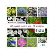 Leaderplantcom - Kit Massif Terrain Sec – 10 variétés