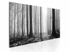 Tableau sur toile décoration murale image imprimée cadre en bois à suspendre forêt noir et blanc 135x45 cm 11_0006383