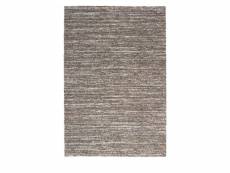 Darwin ii - tapis contemporain - couleur - brun, dimensions - 200x290 cm