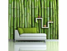 Paris prix - papier peint "mur vert bambou ii" 450x270cm