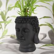 Pot de fleurs tête de Bouddha 19x20x34 cm case récipient pour fleurs anthracite
