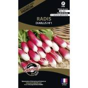 Sanrival Premium - Graines potagères premium radis