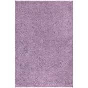 Softy - Tapis à Poils Longs doux Tapis de Salon, Chambre, Couloir (Violet de Parme - 60x110cm)