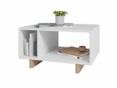 Table basse rectangle blanche 2 niches MES6002-10-30