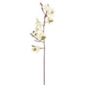 Tige de fleurs de pommier blanche H60