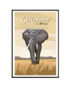 Affiche Animaux - L'Elephant d'Afrique 30 x 40 cm