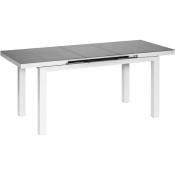Jardiline - Table de jardin extensible en aluminium gris perle Ibiza 8 à 10 personnes - Gris perle