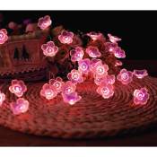 Les guirlandes lumineuses sont livrées avec 40 led en forme de fleur de cerisier violette, alimentées par piles, adaptées pour Noël, la chambre des