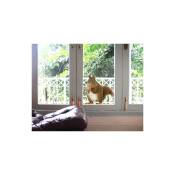 Micasia - Sticker de fenêtre écureuil - Dimension: 20cm x 18cm