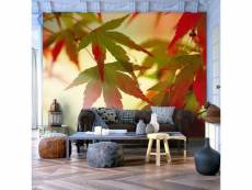Papier peint intissé paysages feuilles colorées taille 350 x 270 cm PD14452-350-270