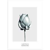 Poster Lotus Sans cadre -A5 - multicolor