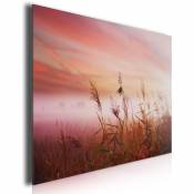 Tableau photo paysage champ de blé au coucher, 80x50cm