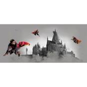 Ag Art - Poster géant horizontal Harry Potter sur son balais 170 x 75 cm