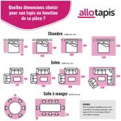 Deladeco - Tapis plat lavable en machine moderne Edimbourg Gris 160x230 - Gris